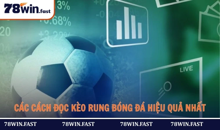 Các cách đọc kèo rung bóng đá hiệu quả nhất