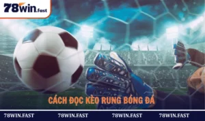 Cách Đọc Kèo Rung Bóng Đá Giúp Người Chơi Thắng Cược